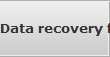 Data recovery for North Salt Lake City data